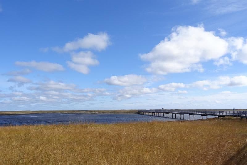 Holzsteg über das Meer und die Salzwiesen