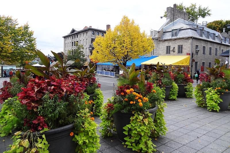 Place Jacques Cartier, Montreal