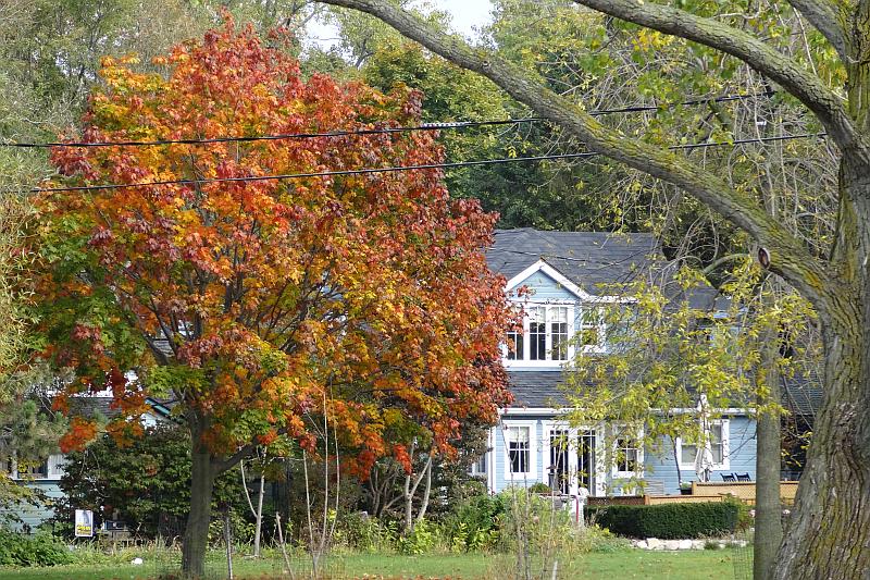 Ward Island, Toronto