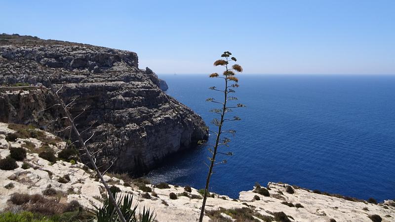 Steilküste auf Malta