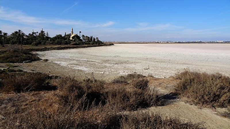 Salzsee mit Hala Sultan Tekke im Hintergrund