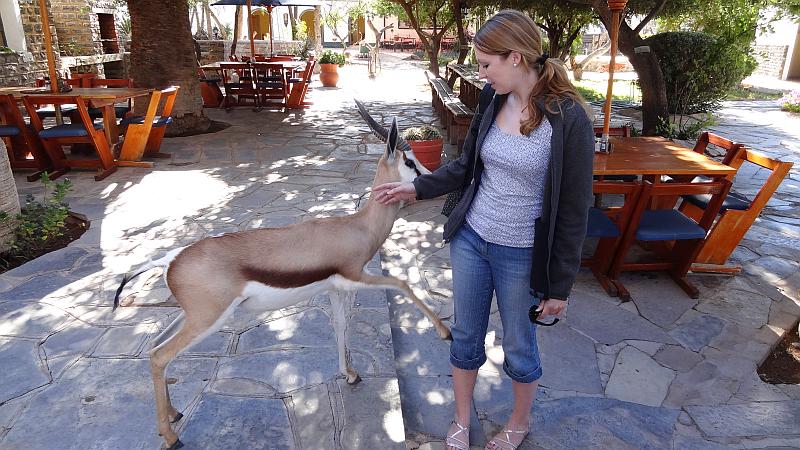 Springbok Helmeringhausen