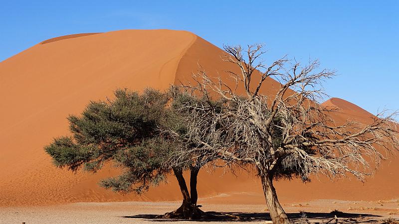 Düne 45 im Namib-Naukluft-Park