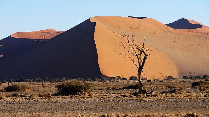 Dünenschatten im Namib-Naukluft-Park