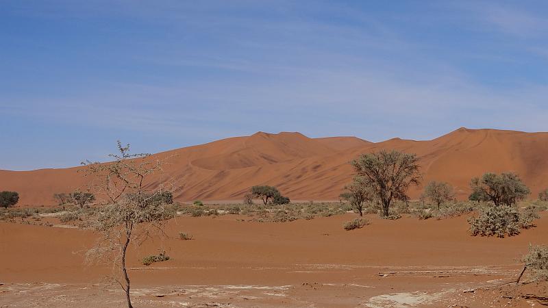 Rostflecken auf den Dünen im Sossusvlei