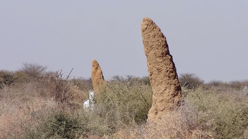 Termitenhügel in Otjozondjupa