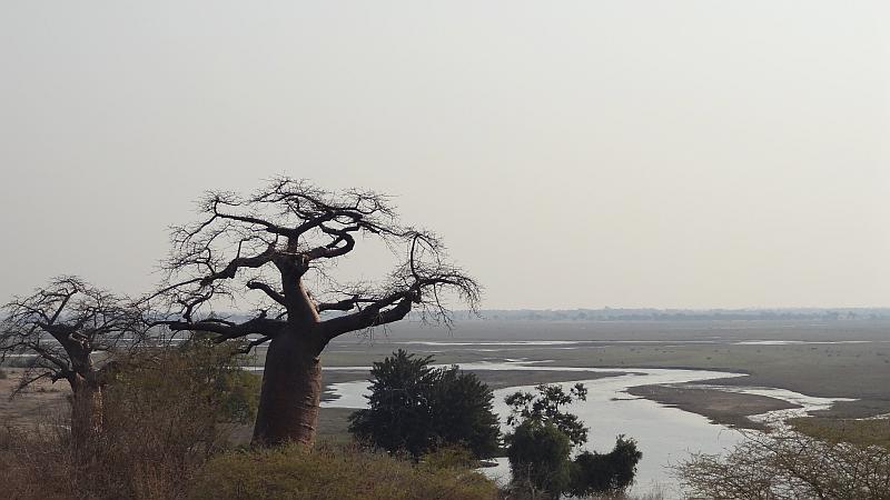 Grenzübergang Chobe