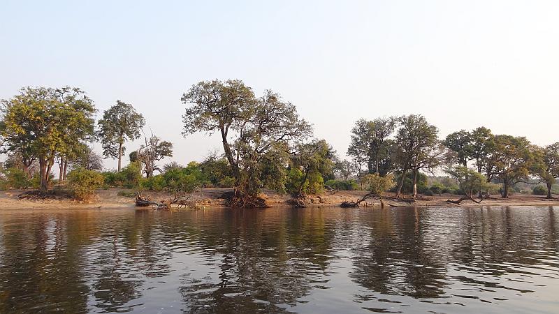 Landschaft im Chobe-Nationalpark
