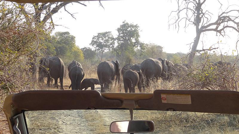 Straßensperre im Bwabwata-Nationalpark