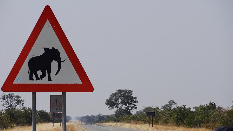 Elefantenwarnschild in Kavango