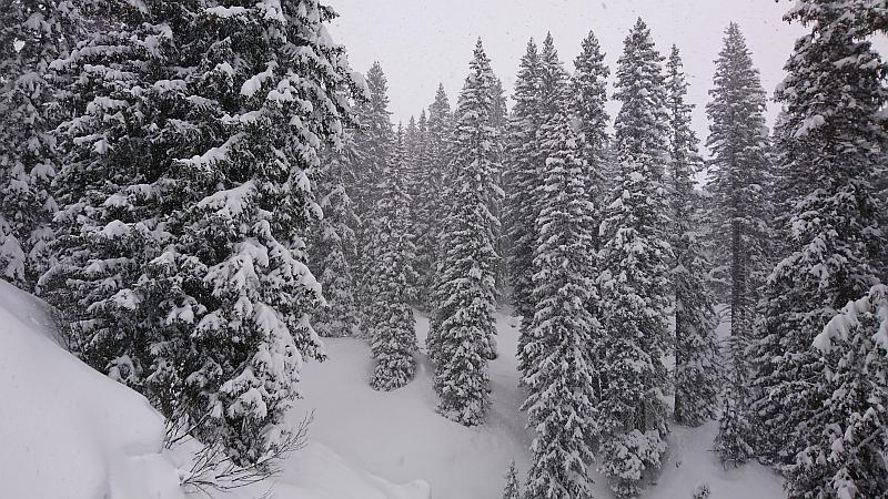 Märchenwald in Lech - Ski Arlberg