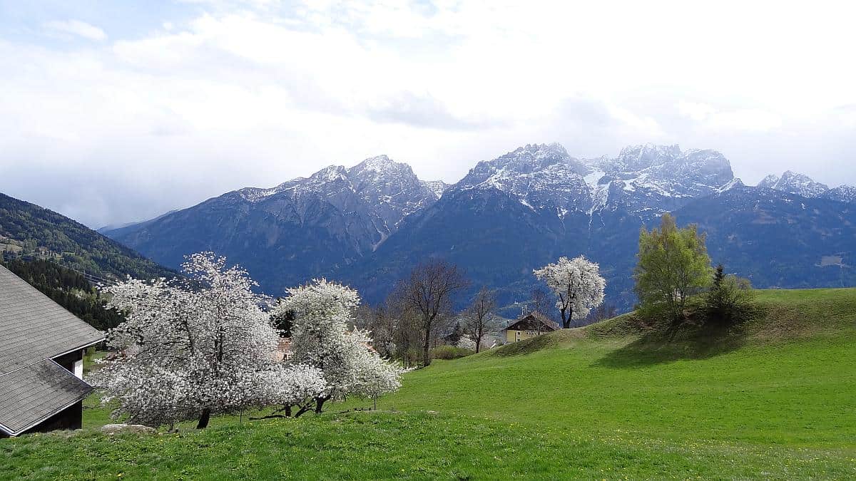 Apfelblüte Osttirol - Frühling in den Dolomiten