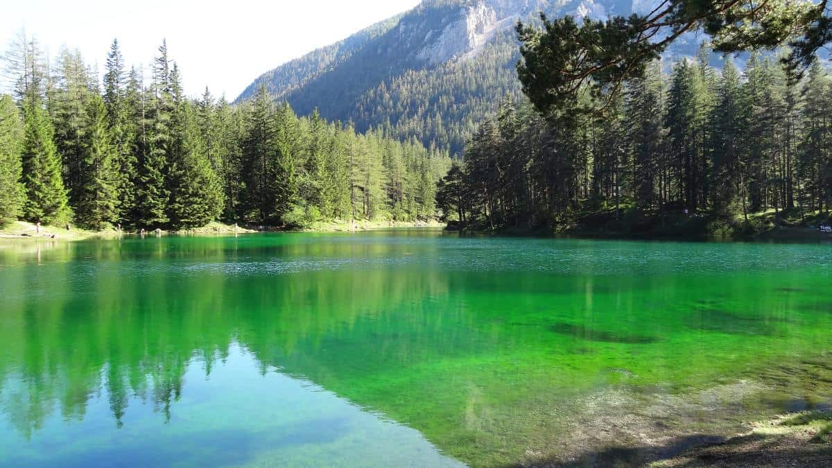 Grüner See Tragöß