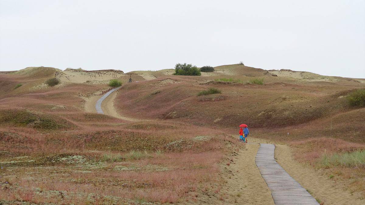 Tote Düne Kurische Nehrung - Roadtrip durchs Baltikum