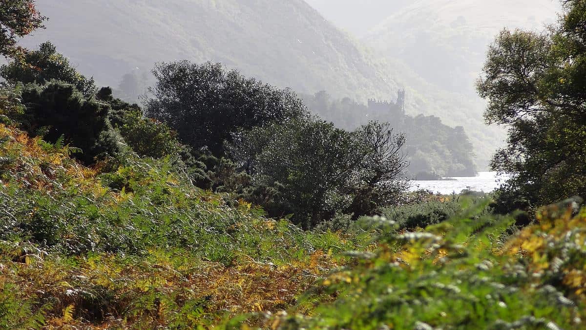 Blick auf Glenveagh Castle - Glenveagh National Park