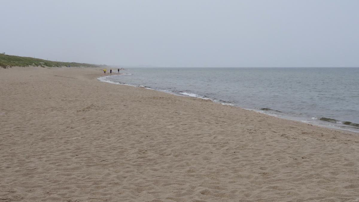 Sandstrand auf der Kurischen Nehrung