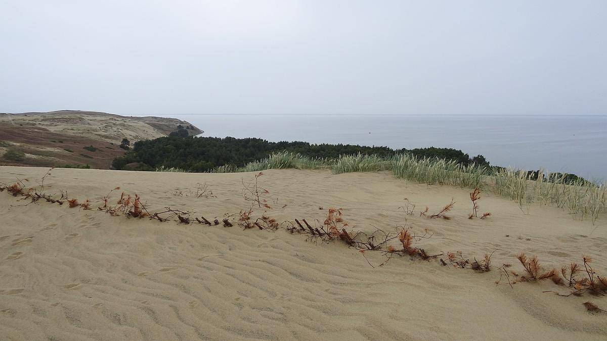 Aussicht von der Toten Düne, Kurische Nehrung