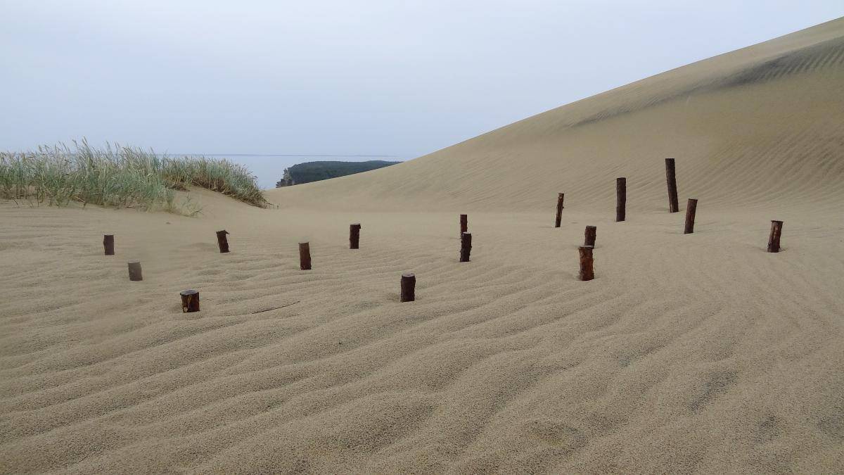 Sandbefestigung Tote Düne