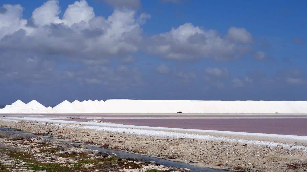 Ein Tag auf Bonaire