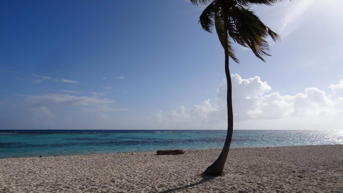 Canto de la Playa, Isla Saona