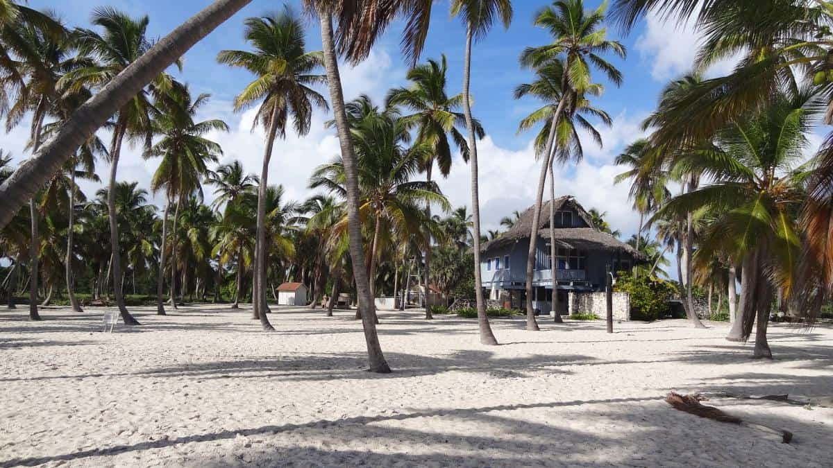 Ein Tag auf der Isla Saona gewährt dir Einblick in die kilometerlangen Strände, das kristallklare Wasser und die Unterwasserwelt der Dominikanischen Republik.