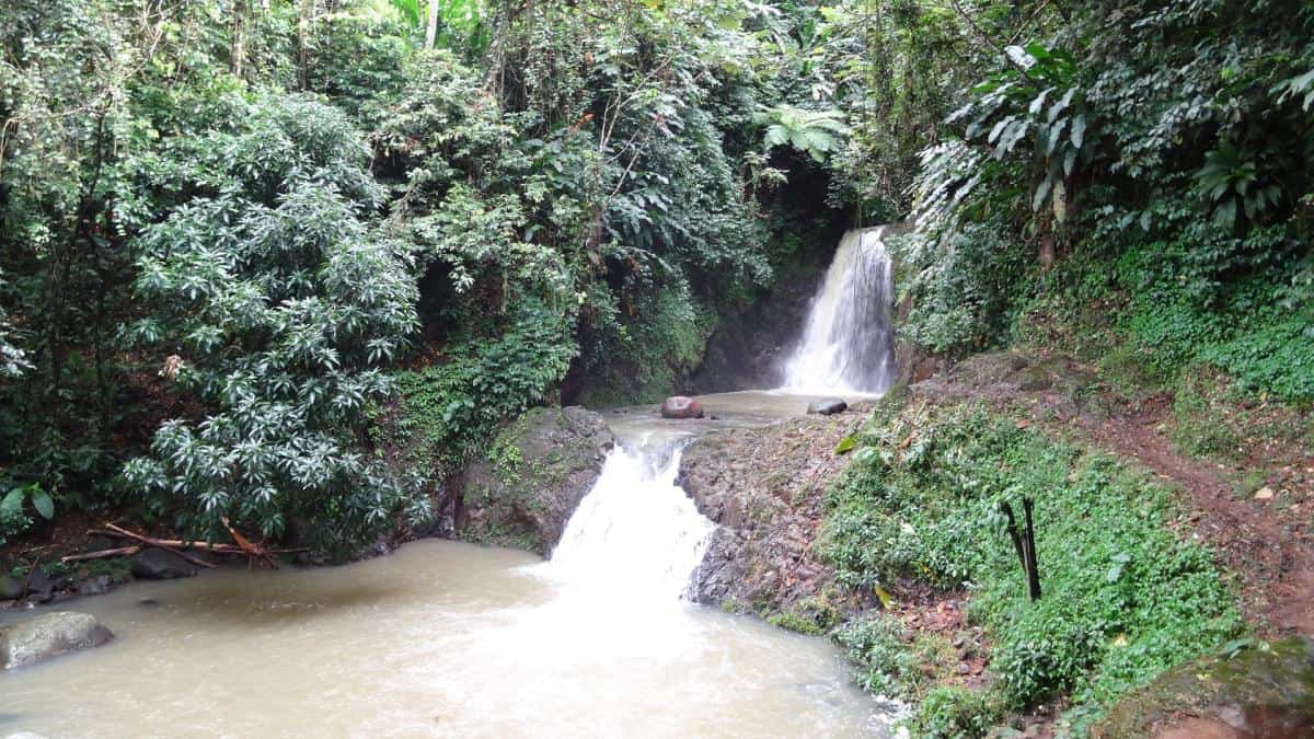 Seven-Sisters-Wasserfälle, Grand-Etang-Nationalpark, Grenada