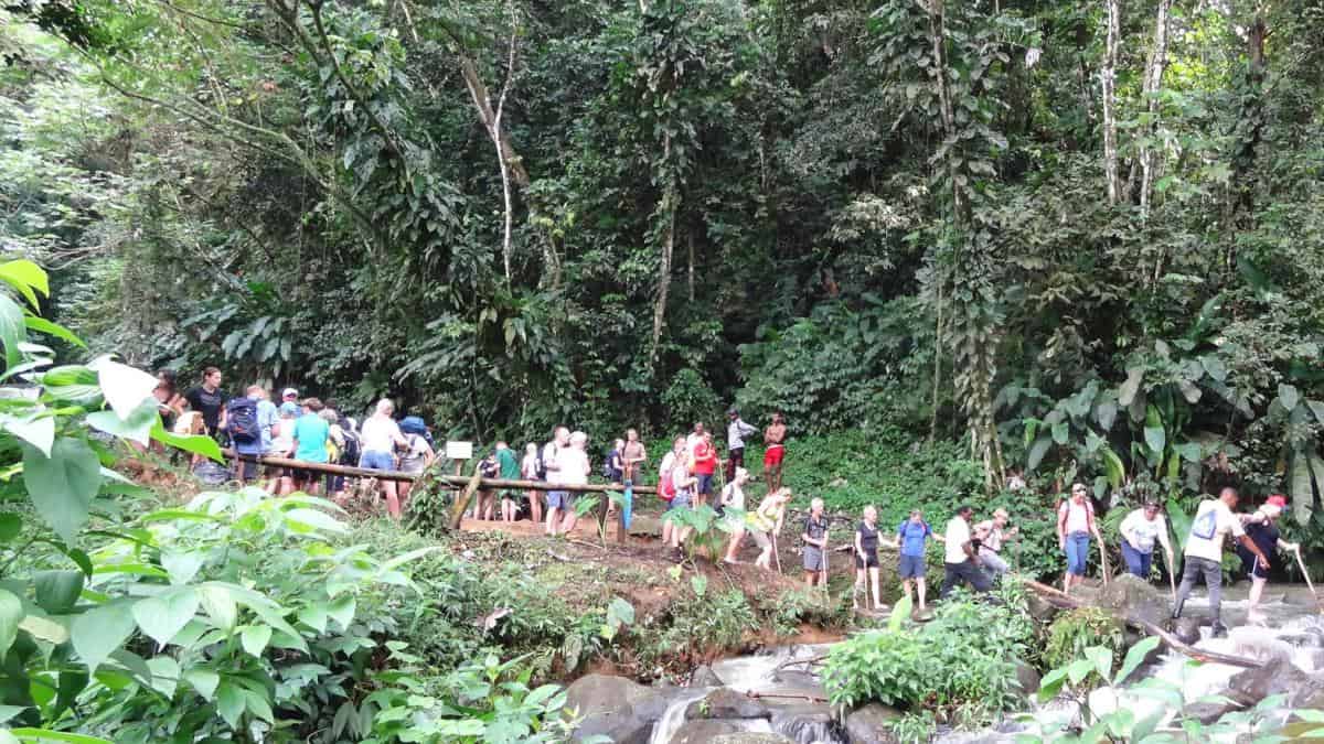 Touristen, Seven-Sisters-Wasserfälle, Grand-Etang-Nationalpark, Grenada