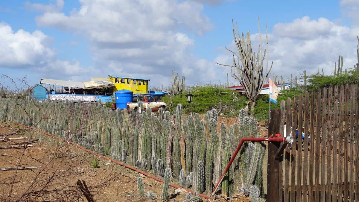 Haus im Outback auf Bonaire