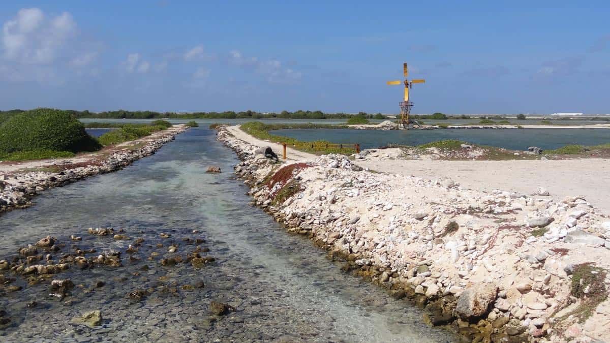 Saline auf Bonaire