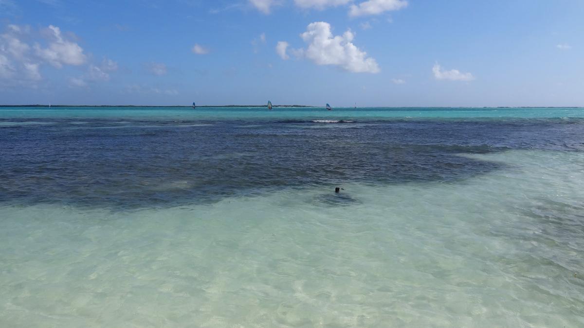 Sorobon Beach, Ein Tag auf Bonaire