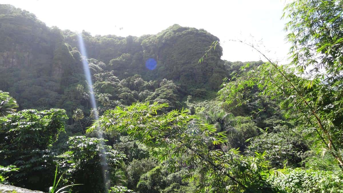 Mesopotamia Valley, St. Vincent