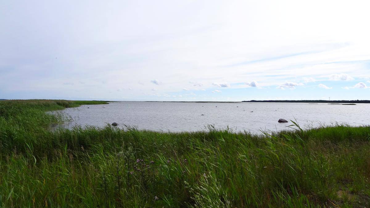 Ostseeküste, Kuressaare, Saaremaa, Estland