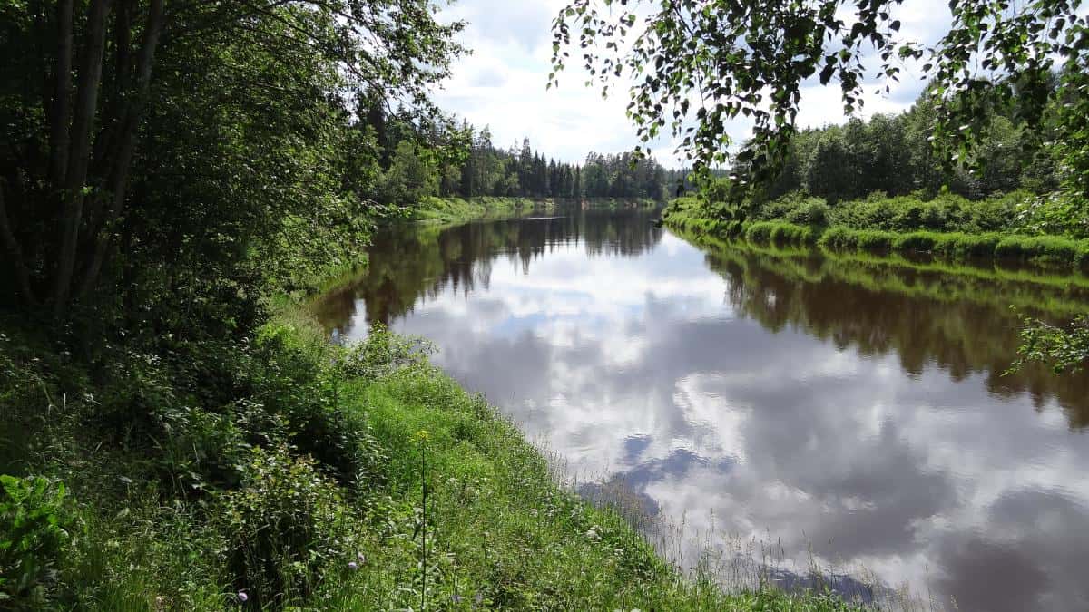 Der Gauja-Nationalpark: Ein Ausflug ins ursprüngliche Lettland