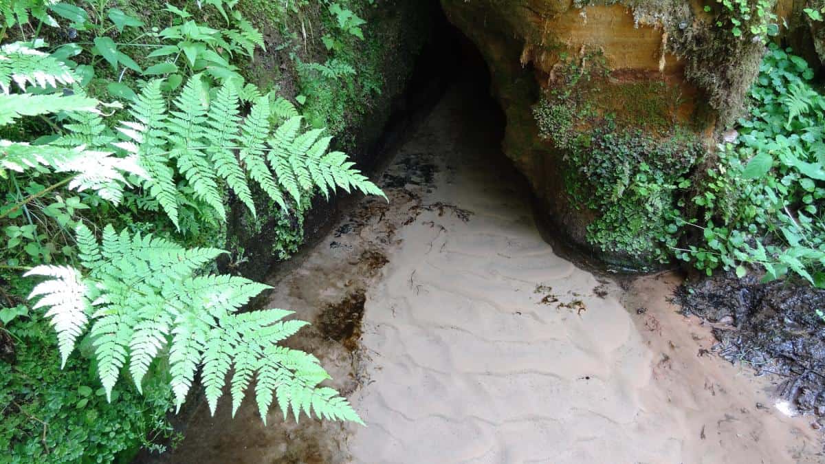 Quelle im Gauja-Nationalpark