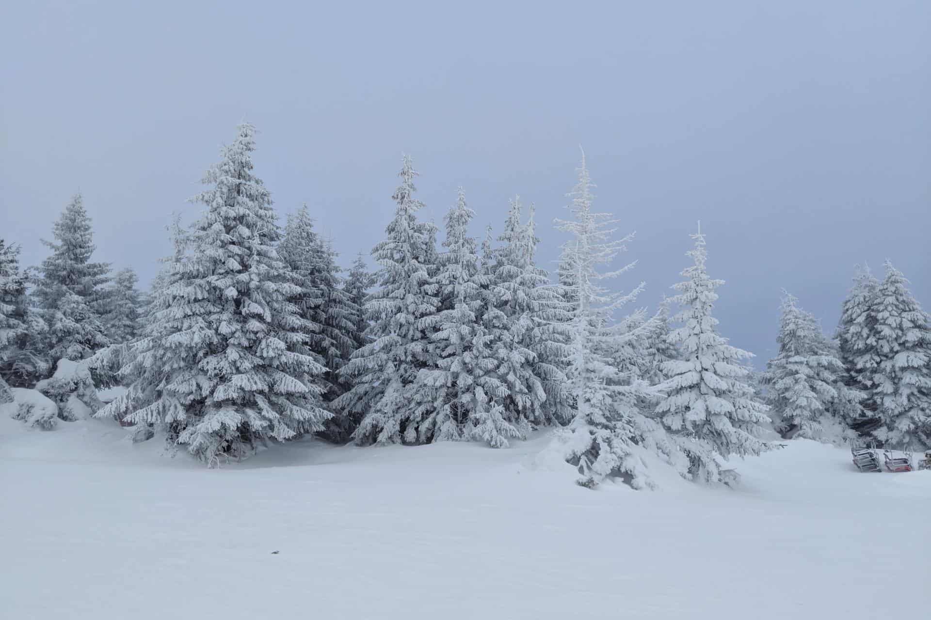 Winter in Serbien: Skifahren und Snowboarden in Kopaonik