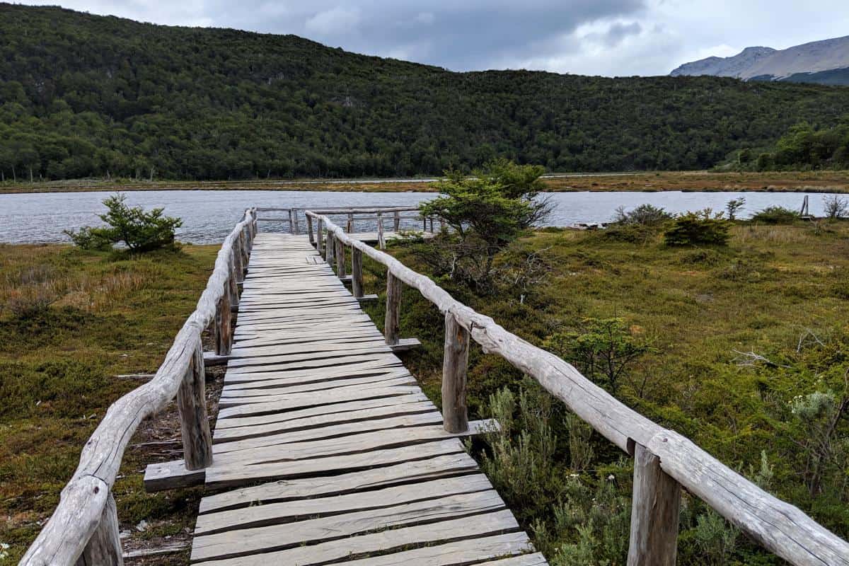 Holzsteg im Moor der Laguna Negra