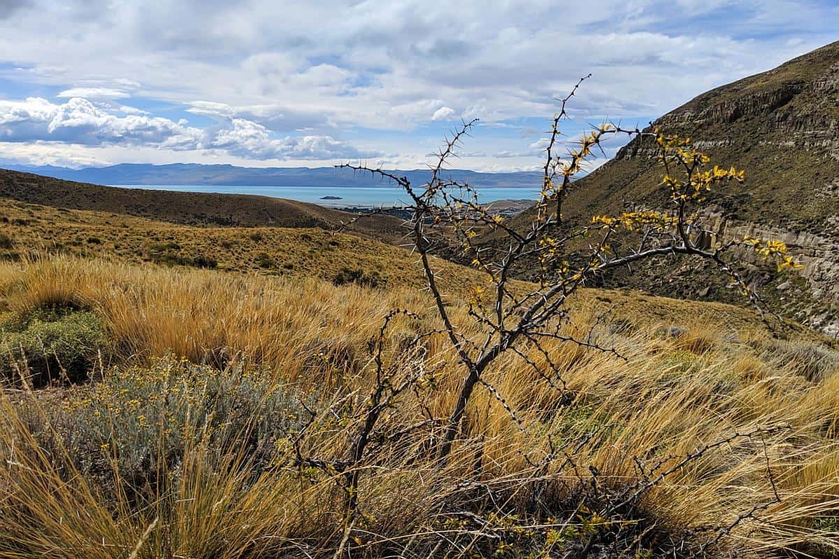 Mit dem Jeep durch die Pampa: Ein Tag in El Calafate