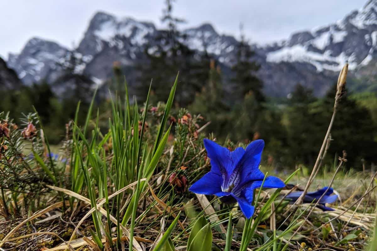 Waldness im Almtal: Entspannung pur in Oberösterreich