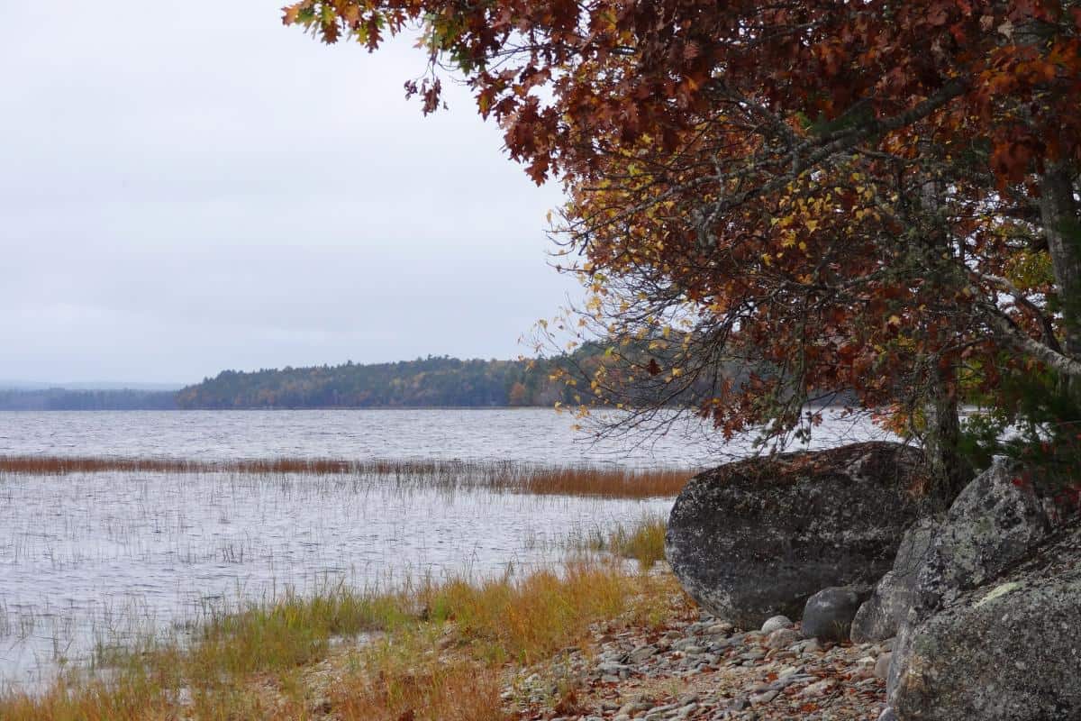 Blick über den Kejimkujik Lake