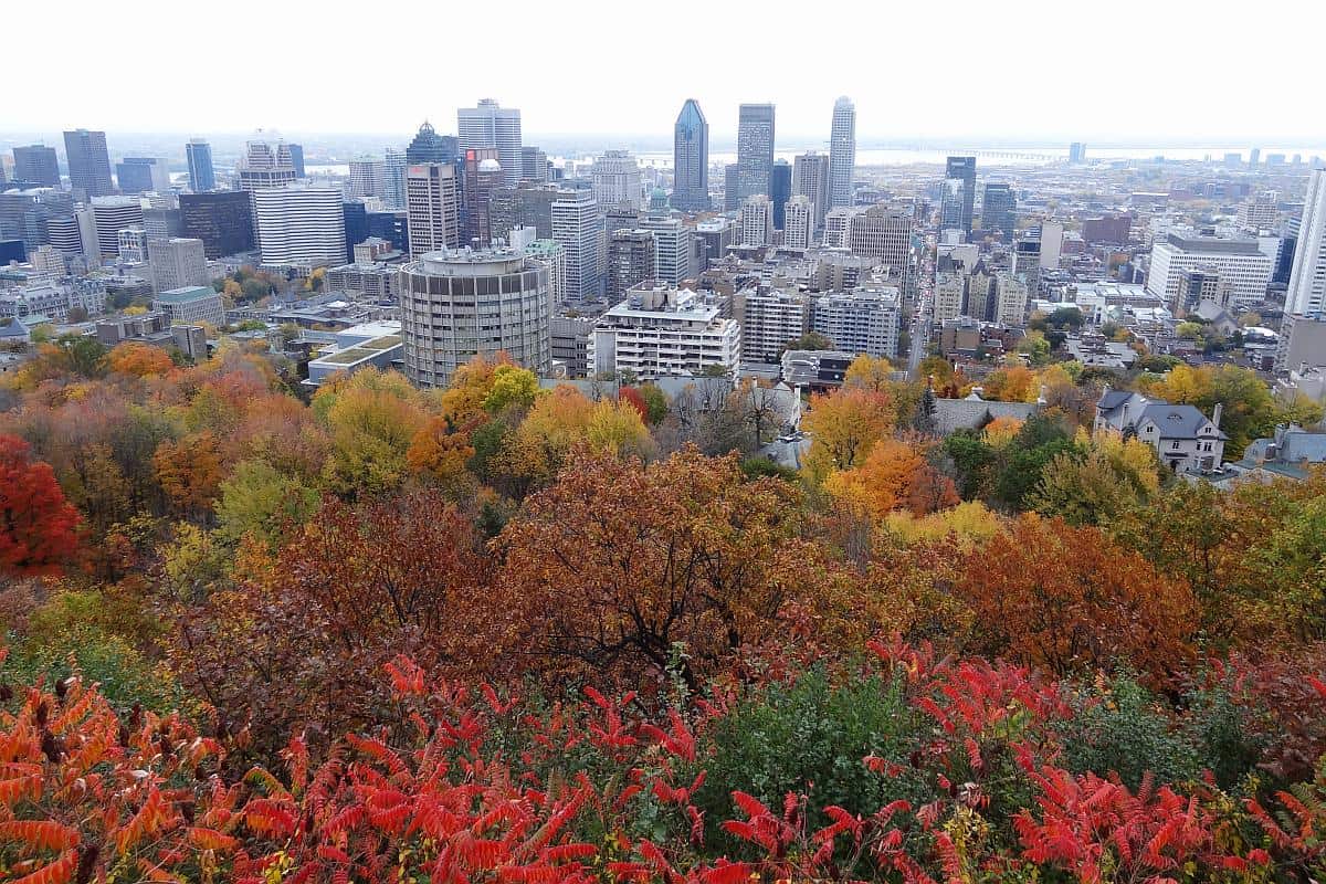 Herbstliche Aussicht über Montreal vom Mont Royal