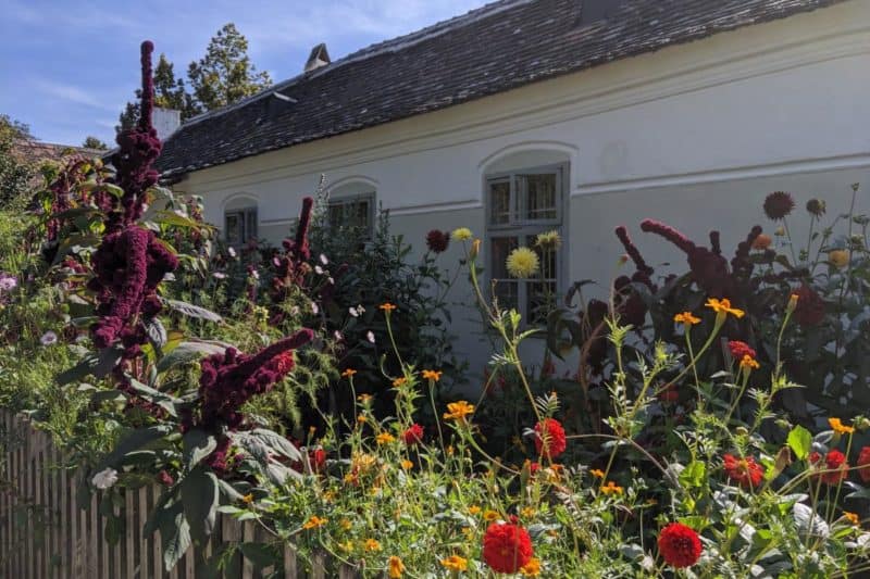 Bunter Blumengarten im Museumsdorf Niedersulz