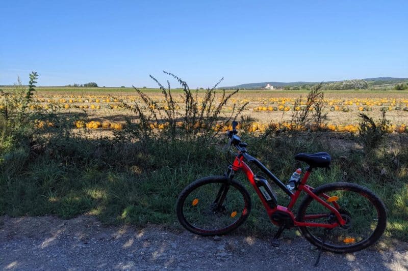 E-Bike vor Kürbisfeld im Weinviertel