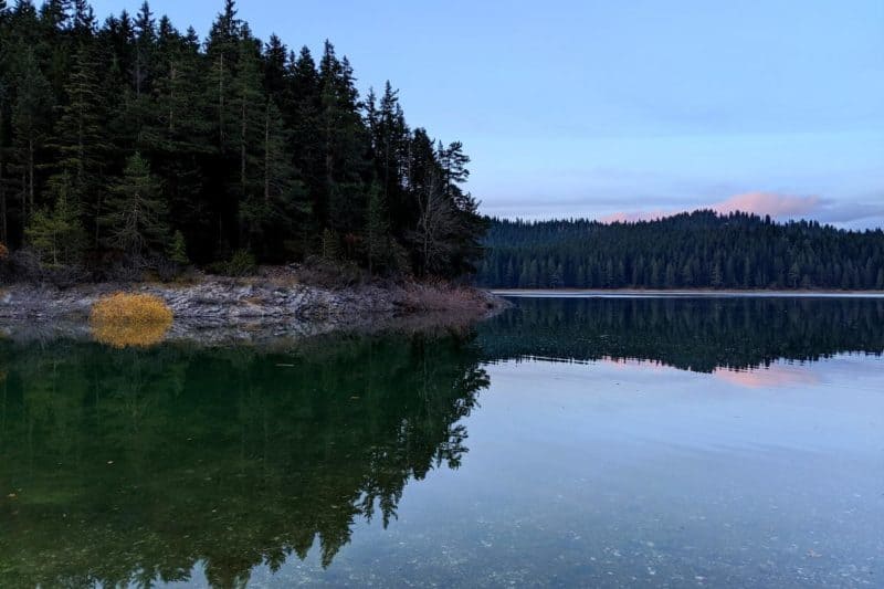 Spiegelung von Bäumen im glatten Seewasser