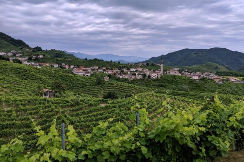 Blick über die Weinberge und das kleine Örtchen Guia an der Proseccostraße