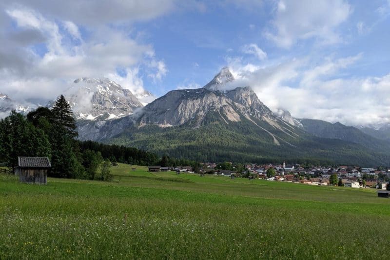 Bergpanorama mit Blumenwiese in Ehrwald