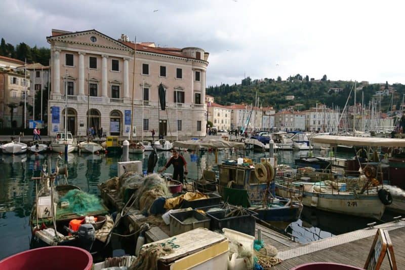 Boote im Hafen von Piran