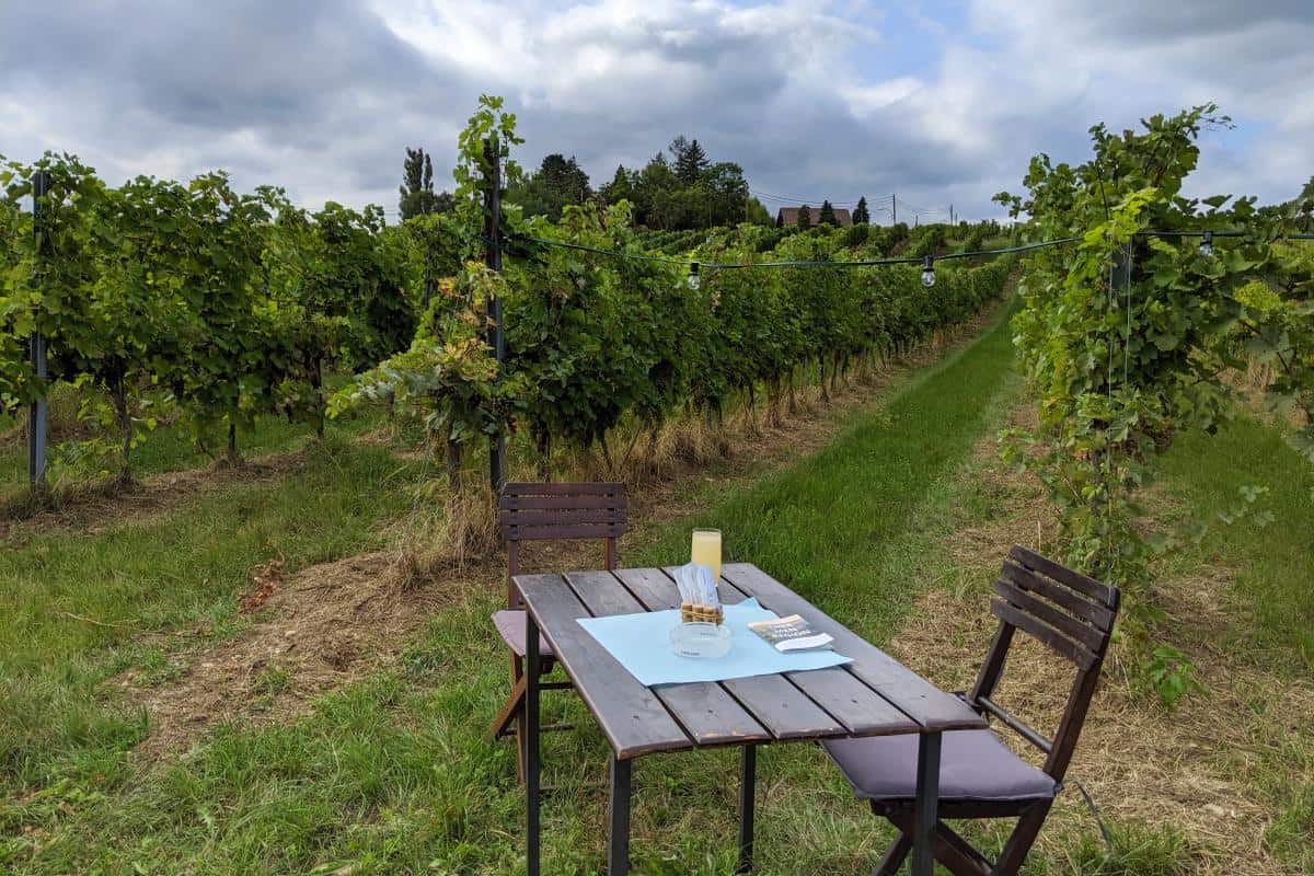 Holztisch in den Weinbergen auf der Genussmeile Baden