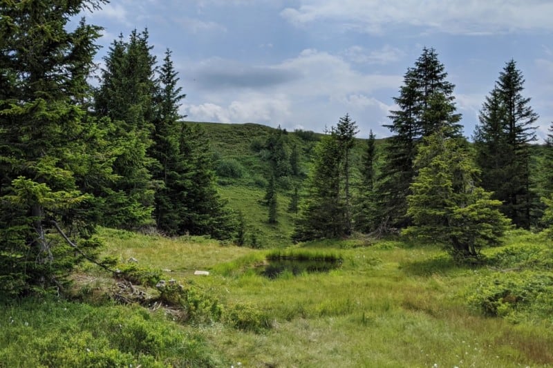 Kleiner Moortümpel am Panoramaweg Baumgarten im Bregenzerwald