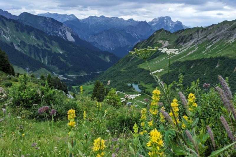 Panorama vom Blumen-Wander-Lehrpfad Faschina im Biosphärenpark Großes Walsertal in der Alpenregion Vorarlberg