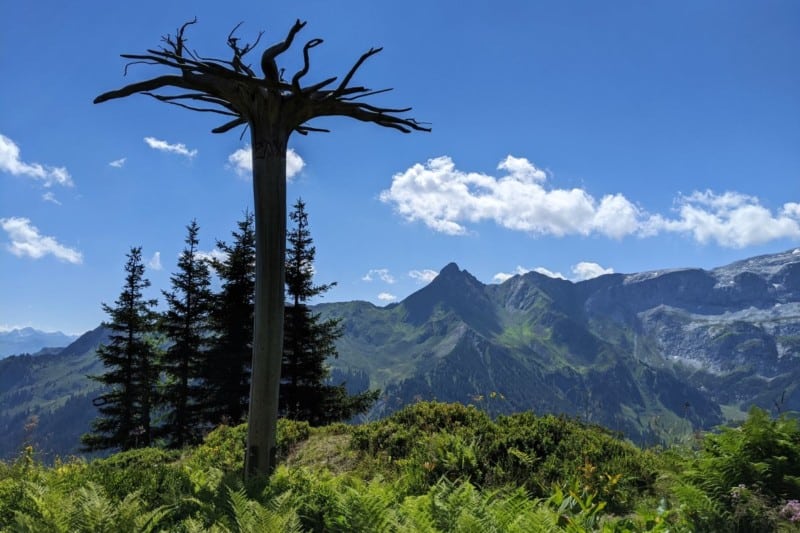 Blick auf eine Skulptur der Gauertaler AlpkulTour im Montafon